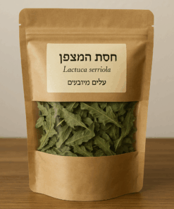 חסת המצפן