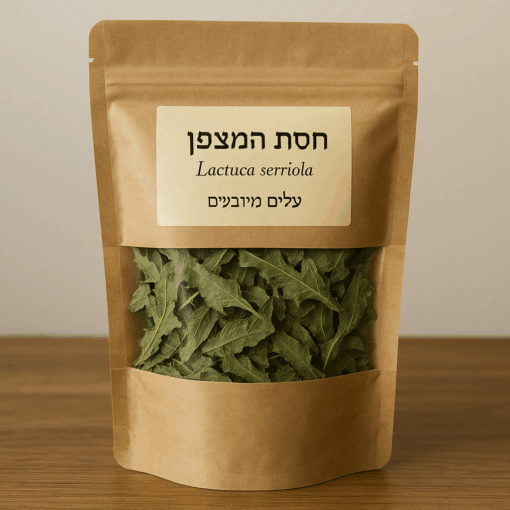 חסת המצפן